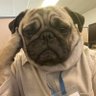 俊哥 Felix profil fotoğrafı