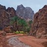 Profilbild von بو عبدالله البكر 🇰🇼506