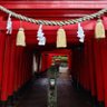 レペゼン仙台 的头像