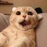 G profil fotoğrafı