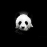Panda 的头像