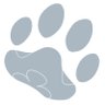 猫矢眞's profile picture