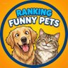 Ranking Funny Pets's profile picture