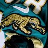 Happy Jags fan's profile picture