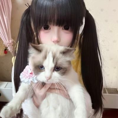丸's profile picture