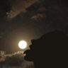 F1nch madman profil fotoğrafı