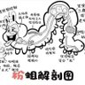 Фото профиля 三又狱长⏰时刻监督踩缝纫机进度