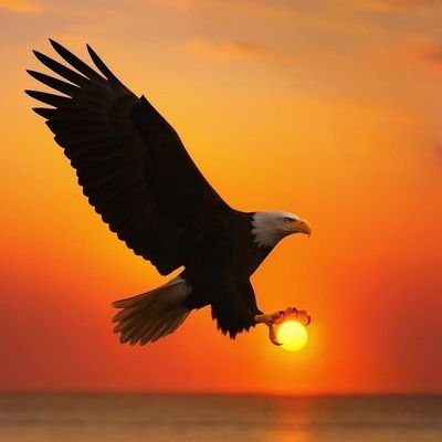 sciencewin1's profile picture