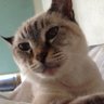 ponchi's profile picture