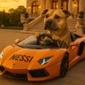 NE$$I 的头像