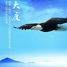 雄鹰 的头像