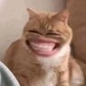 Viq's profile picture