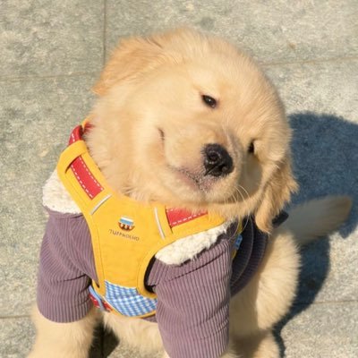 อินท์'s profile picture