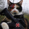 Profilbild von TripledH