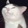 Profilbild von 𝐕𝐢 | 𝐄𝐱𝐲