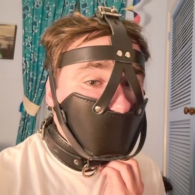 Tyler Boy's profile picture