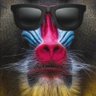 Profilbild von Devaansh V