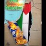 Acahari ya ndimu 🇰🇪 🇵🇸 🇾🇪 profil fotoğrafı