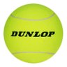 Фото профиля Fuzzy Dunlop