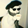 Profilbild von • کامرانِ زیباگـوربا •