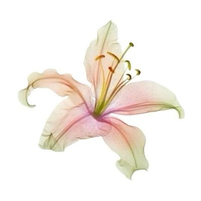 writtenisa's profile picture