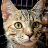 Profilbild von Nitro