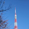Фото профиля まりも