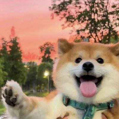 long_li2995's profile picture