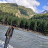 S K Gupta profil fotoğrafı
