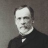 Profilbild von Louis Pasteur