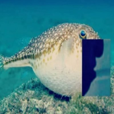 mal🌾's profile picture