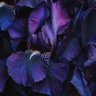 Фото профиля Dani / Liam