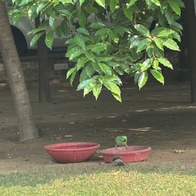 GauravPrakashSP's profile picture