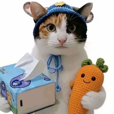 DAKAIMEN_BSC's profile picture