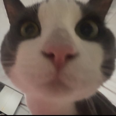 是奶茶姐's profile picture