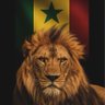 Baye Modou's profile picture
