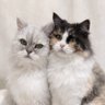 Profilbild von 輝とノン