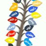 Фото профиля ali salah aiyash