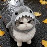 Meow-vakar 🪿 的头像
