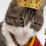 Profilbild von 一条鱼