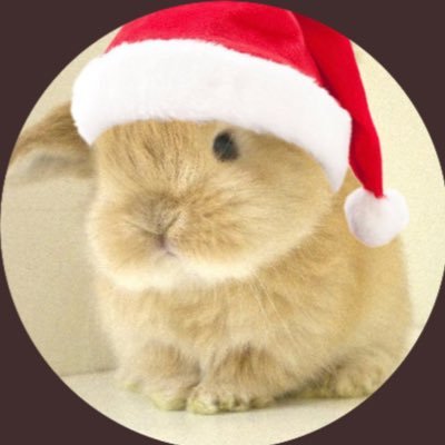 niihao_'s profile picture