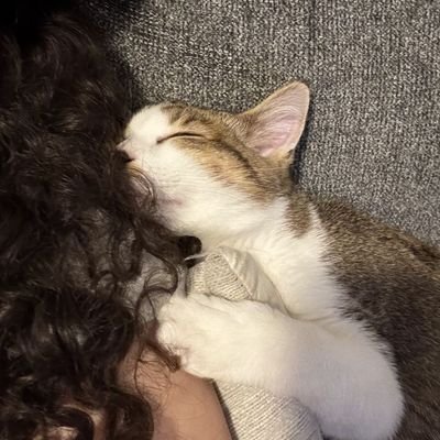 omgwhoisgirl's profile picture
