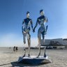 Playa Capital profil fotoğrafı