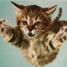 Фото профиля 🐾it’s me…Jessica!
