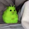Фото профиля toffeesheep