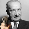 Profilbild von fdp da silva