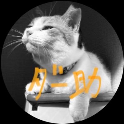 bish_mikeneko's profile picture