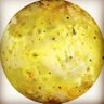 Profilbild von io