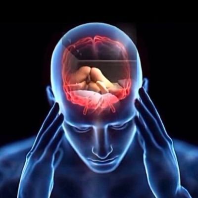 petitloup75's profile picture