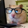 haemsterrrrr 🍋 profil fotoğrafı